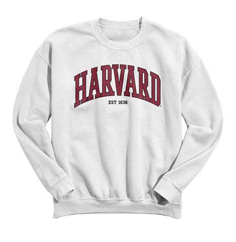 harvard oversized sweatshirt